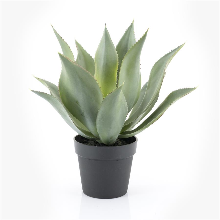 Agave kunstplant large By-Boo - Realistisch en sfeerfvol