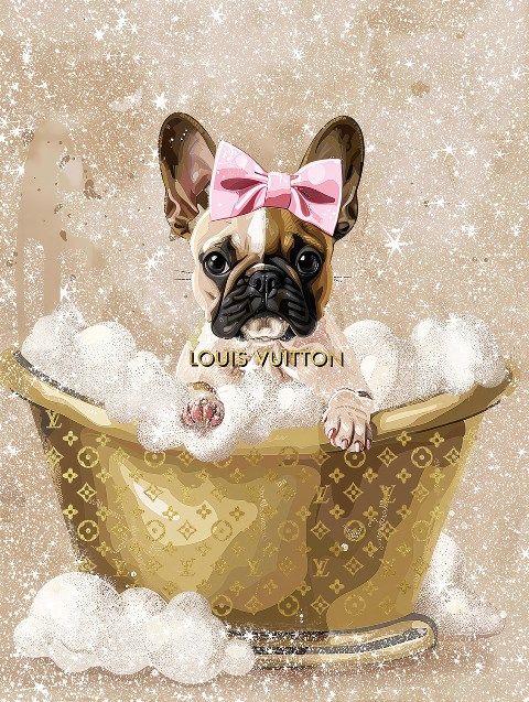 Glasschilderij Fashion hond gouden bad roze strik 60x80 cm