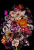Glasschilderij Bloemen, Kolibri vogel zwarte achtergrond 80x120 cm